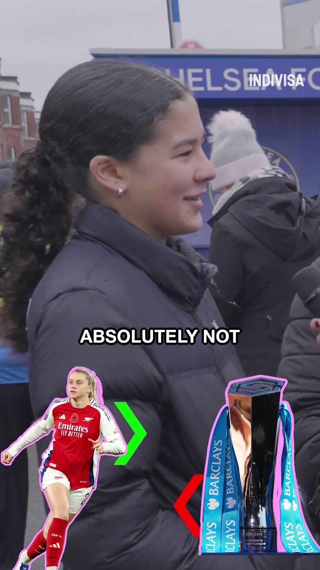 它们不仅是 它们不仅是